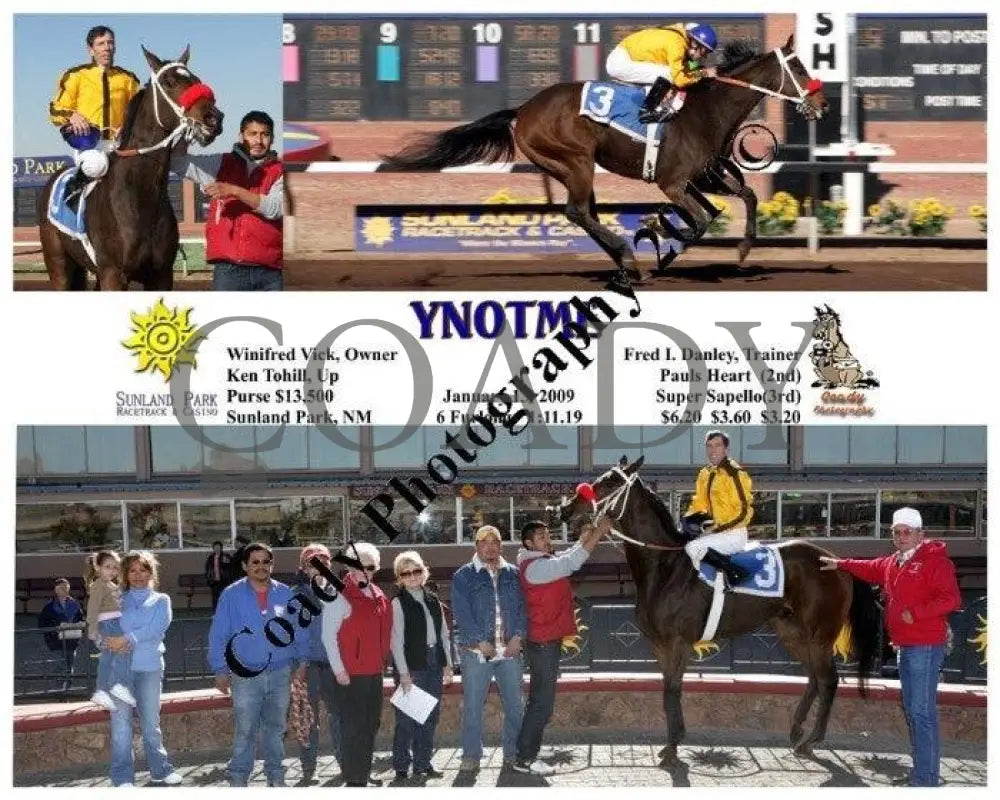 Ynotme - 1 13 2009 Sunland Park