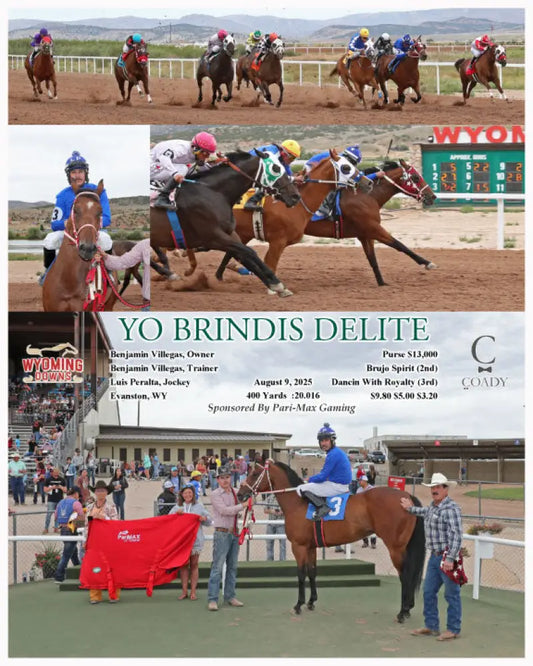 YO BRINDIS DELITE - 08-09-25 - R03 - WYO Wyoming Downs