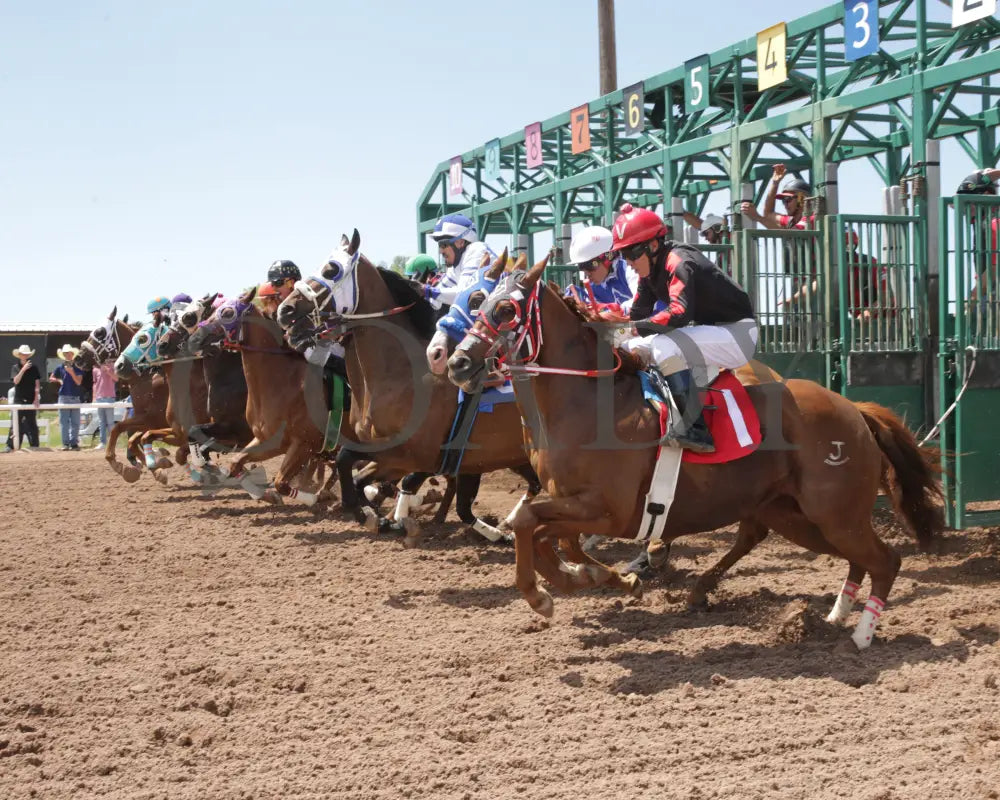 YO MORNING DELITE - Governor’s Cup Stakes - 06-29-25 - R04 - Wyoming Downs - Starting Gate.jpg Wyoming Downs