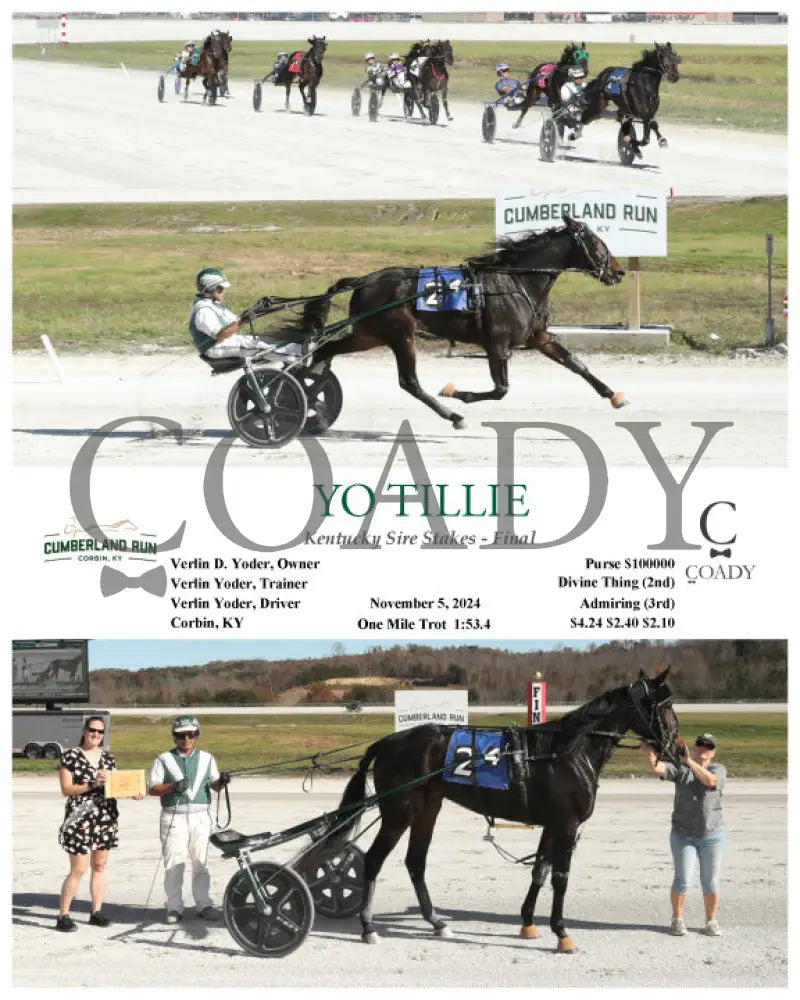 Yo Tillie - 110524 Race 04 Clr Cumberland Run