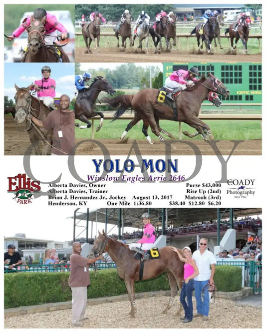 Yolo Mon - 081317 Race 05 Elp Ellis Park