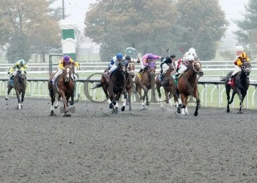 Zealous Yankee - 2 102011 Race 02 Keeneland