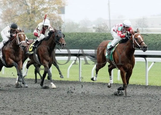 Zealous Yankee - 3 102011 Race 02 Keeneland