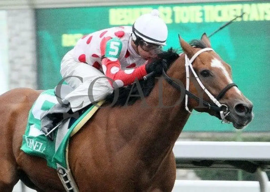 Zealous Yankee - 5 102011 Race 02 Keeneland