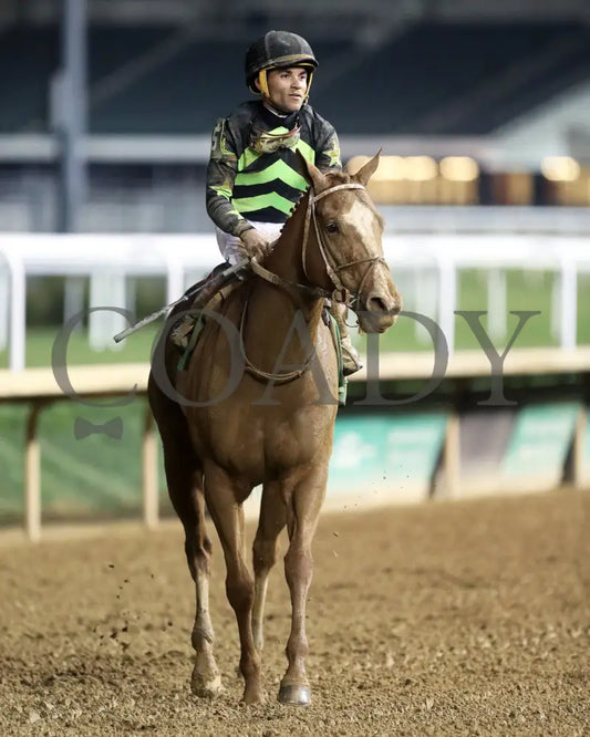 Zeitlos - The Roxelana Overnight Stakes 14Th Running 04-27-24 R09 Cd Come Back 01 Churchill Downs