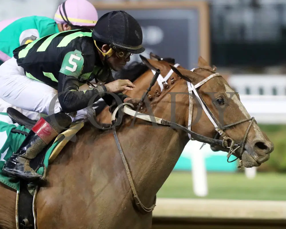 Zeitlos - The Roxelana Overnight Stakes 14Th Running 04-27-24 R09 Cd Gallop 01 Churchill Downs