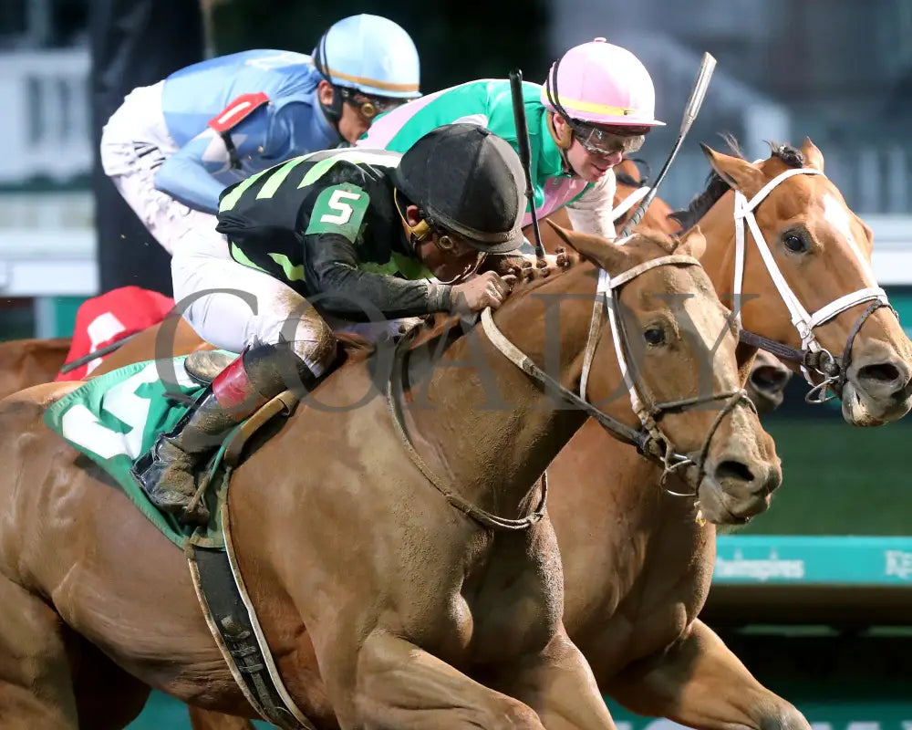 Zeitlos - The Roxelana Overnight Stakes 14Th Running 04-27-24 R09 Cd Tight Finish 01 Churchill Downs