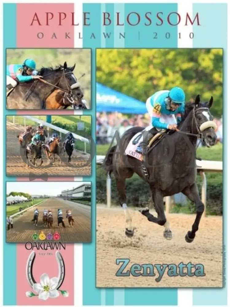 Zenyatta - 2010 Apple Blossom Poster 18X24 Print