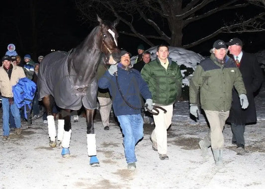 Zenyatta-Kee-120610-006 Keeneland