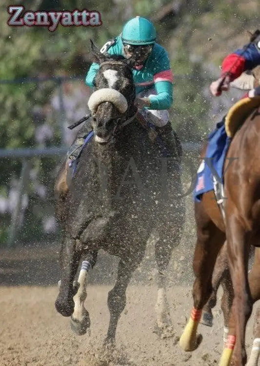 Zenyatta - The Apple Blossom Handicap Champion Horses