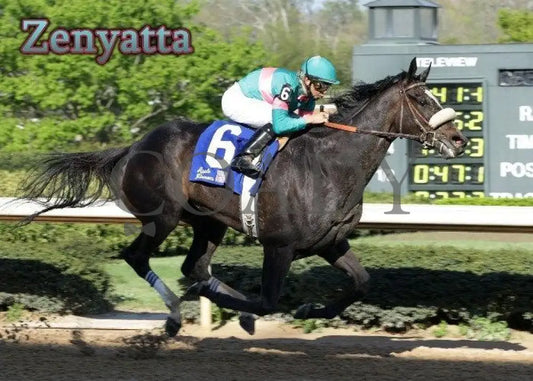 Zenyatta - The Apple Blossom Handicap Champion Horses