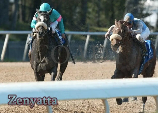 Zenyatta - The Apple Blossom Handicap Champion Horses