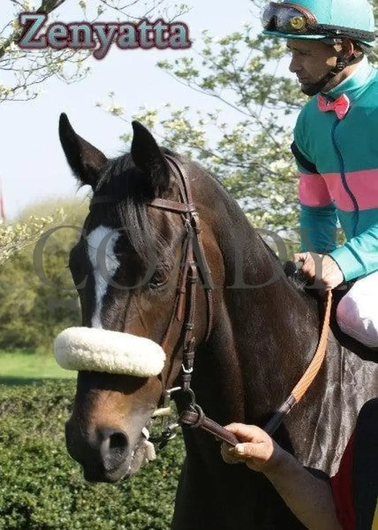 Zenyatta - The Apple Blossom Handicap Oaklawn Park