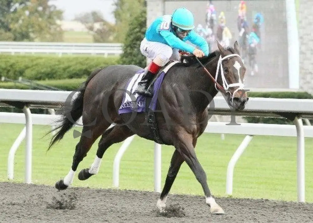 Zermatt - 1 101311 Race 07 Keeneland