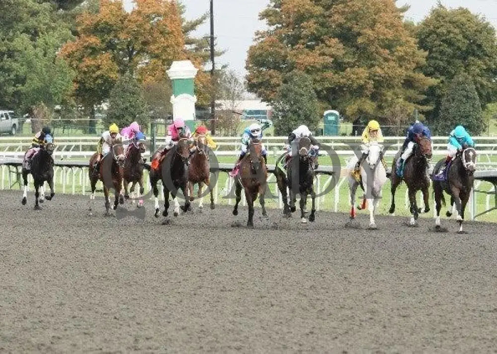 Zermatt - 2 101311 Race 07 Keeneland