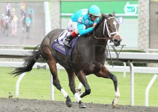 Zermatt - 3 101311 Race 07 Keeneland