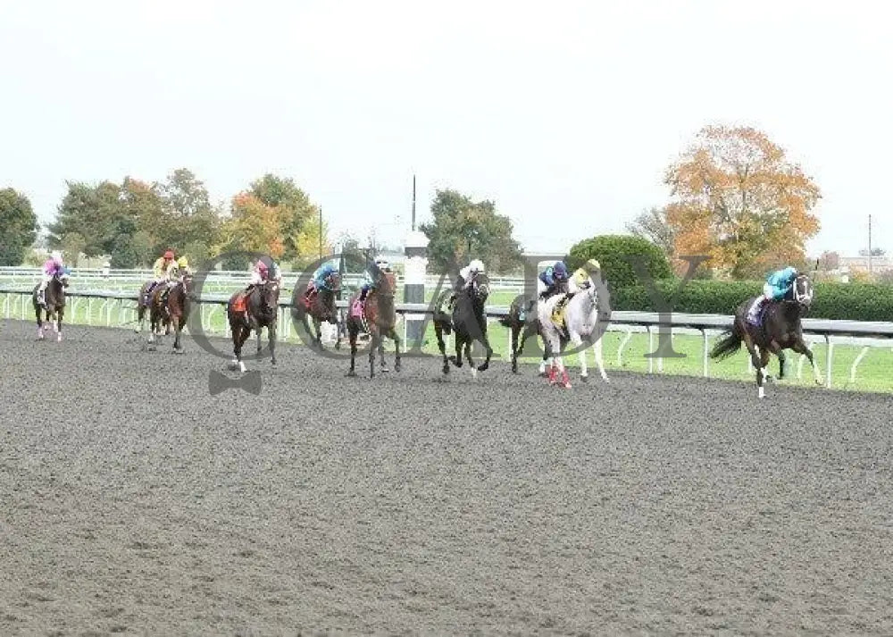 Zermatt - 4 101311 Race 07 Keeneland