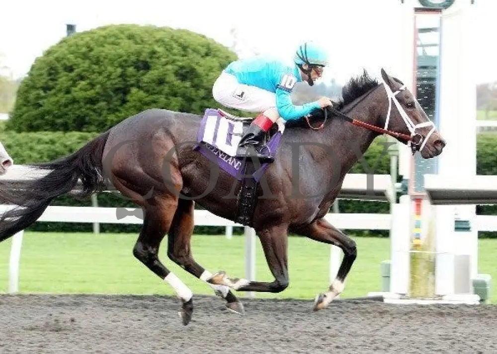 Zermatt - 5 101311 Race 07 Keeneland