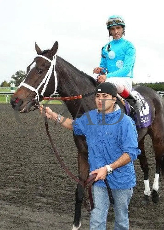 Zermatt - 6 101311 Race 07 Keeneland