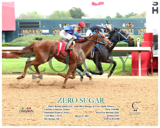 ZERO SUGAR - 03-29-25 - R09 - OP - Action Oaklawn Park