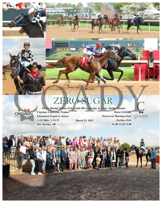 ZERO SUGAR - 03-29-25 - R09 - OP Oaklawn Park
