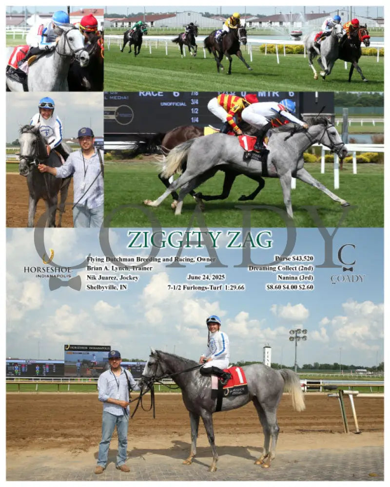 ZIGGITY ZAG - 06-24-25 - R06 - IND Indiana Grand