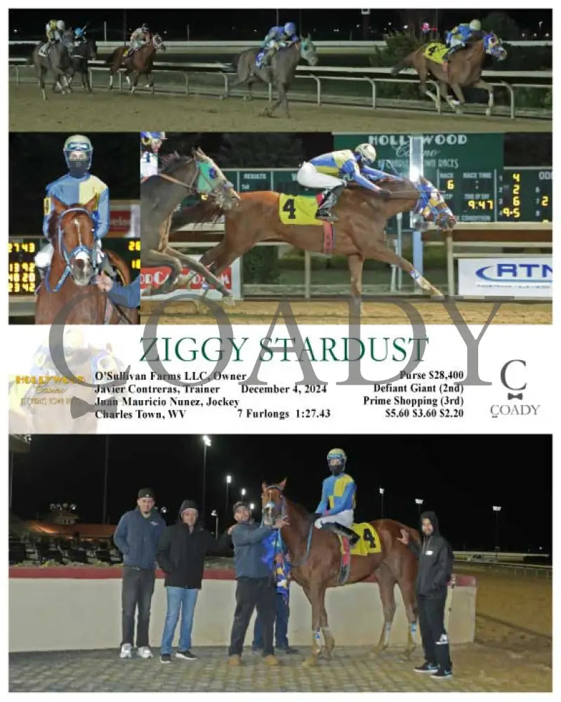 Ziggy Stardust - 12-04-24 R06 Ct Hollywood Casino At Charles Town Races
