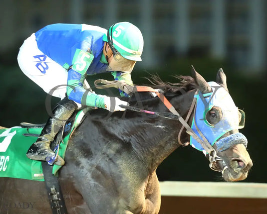ZIP START - 101125 - Race 02 - CT West Virginia Lottery Breeders Classic - Finish 03 Hollywood Casino at Charles Town