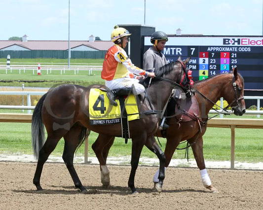 Zoomin Feature - Gordon Mobley Futurity Final 11Th Running 07-20-24 R07 Horseshoe Indiana Post