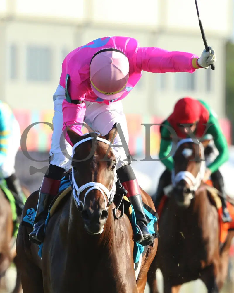 Zulu Alpha - Calumet Farm Kentucky Turf Cup G3 28Th Running 09-07-19 R10 Kd Celebration 01 Downs