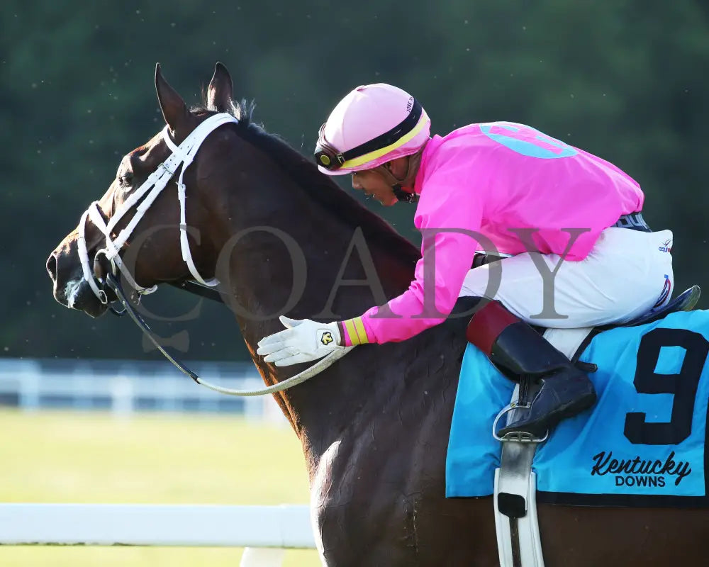 Zulu Alpha - Calumet Farm Kentucky Turf Cup G3 28Th Running 09-07-19 R10 Kd Come Back 01 Downs