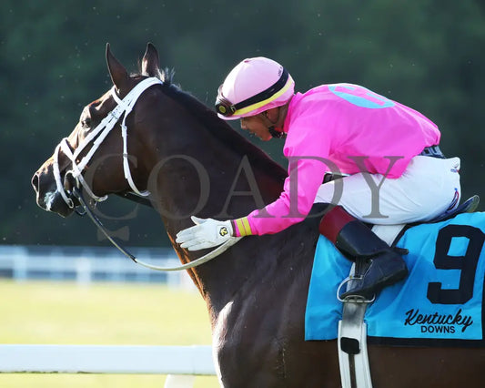 Zulu Alpha - Calumet Farm Kentucky Turf Cup G3 28Th Running 09-07-19 R10 Kd Come Back 01 Downs