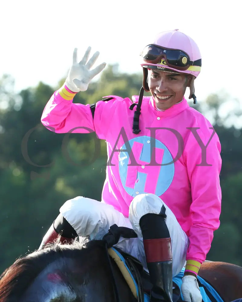 Zulu Alpha - Calumet Farm Kentucky Turf Cup G3 28Th Running 09-07-19 R10 Kd Come Back 02 Downs