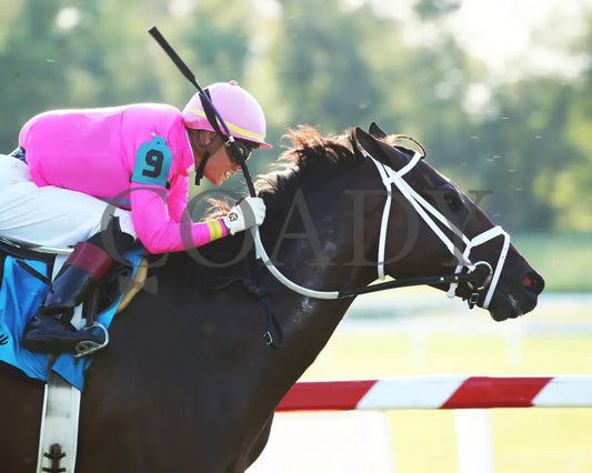 Zulu Alpha - Calumet Farm Kentucky Turf Cup G3 28Th Running 09-07-19 R10 Kd Finish 02 Downs