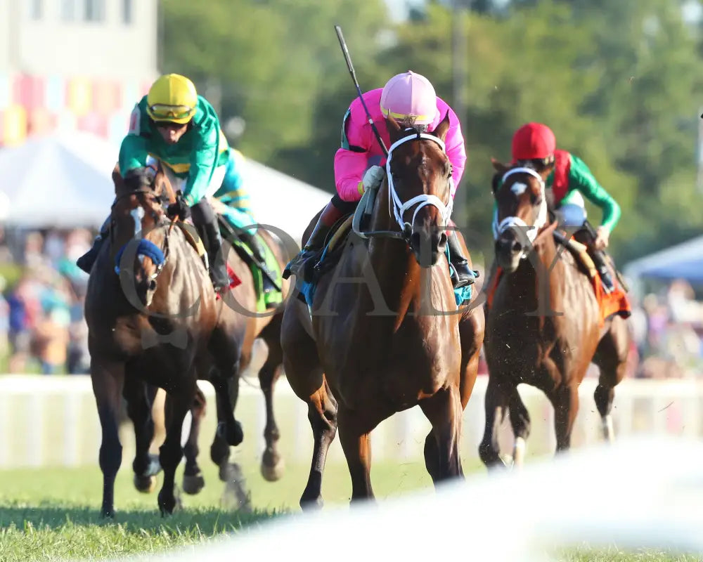 Zulu Alpha - Calumet Farm Kentucky Turf Cup G3 28Th Running 09-07-19 R10 Kd Head On 01 Downs