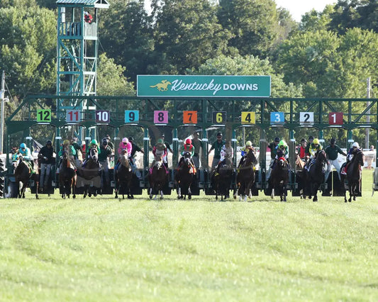 Zulu Alpha - Calumet Farm Kentucky Turf Cup G3 28Th Running 09-07-19 R10 Kd Start 01 Downs