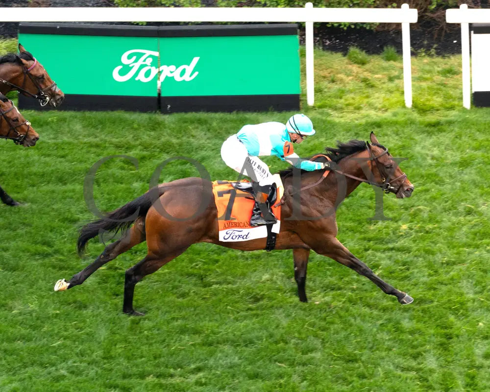 ZULU KINGDOM - 050325 - The American Turf G1 - Race 09 - CD - Aerial Finish 01 Churchill Downs