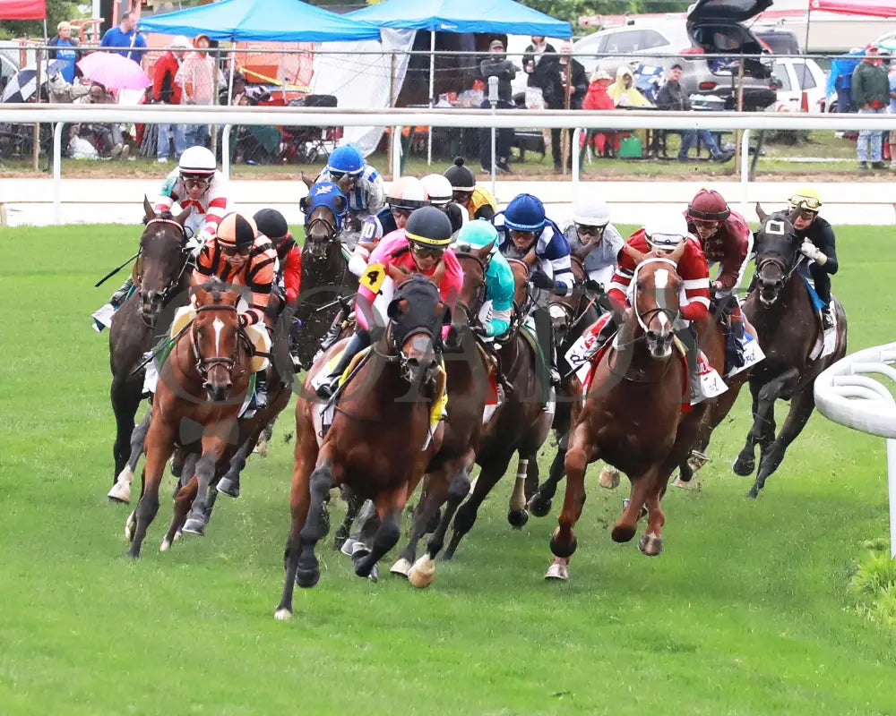 ZULU KINGDOM - 050325 - The American Turf G1 - Race 09 - CD - Turn 01 Churchill Downs