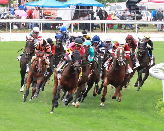 ZULU KINGDOM - 050325 - The American Turf G1 - Race 09 - CD - Turn 01 Churchill Downs