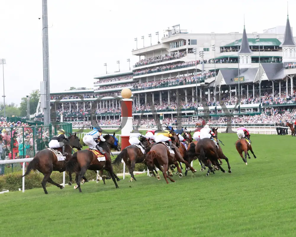 ZULU KINGDOM - 050325 - The American Turf G1 - Race 09 - CD - Turn 02 Churchill Downs