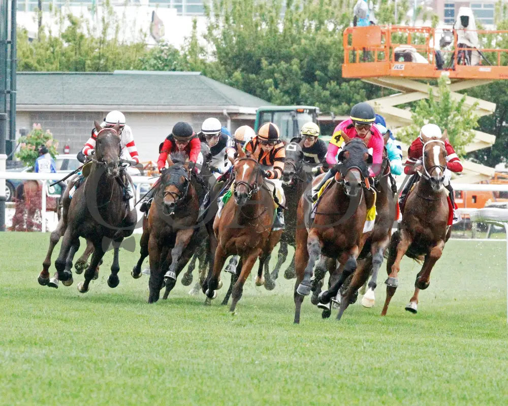 ZULU KINGDOM - 050325 - The American Turf G1 - Race 09 - CD - Turn 03 Churchill Downs