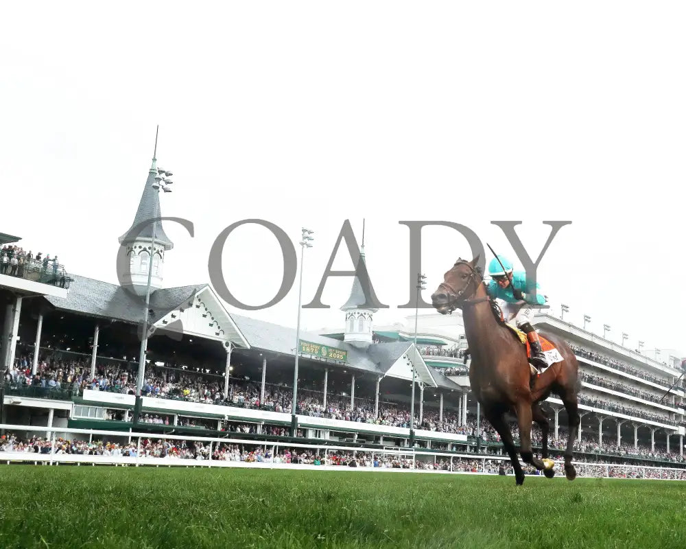 ZULU KINGDOM - 050325 - The American Turf G1 - Race 09 - CD - Under Rail 01 Churchill Downs