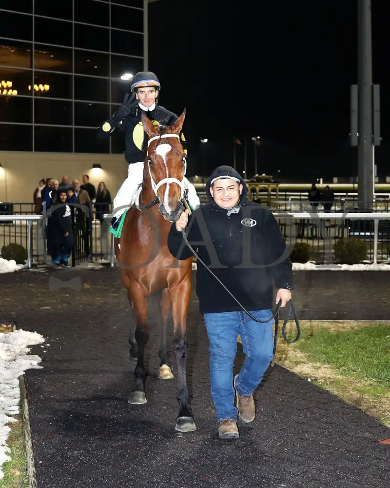 ZVEREV - The Boone County Stakes 1st Running - 12-06-25 - R07 - TP - Come Back 01 - Coady Media - Kurtis Coady Photography