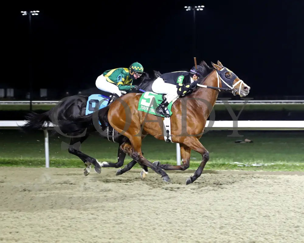 ZVEREV - The Boone County Stakes 1st Running - 12-06-25 - R07 - TP - Finish 01 - Coady Media - Kurtis Coady Photography