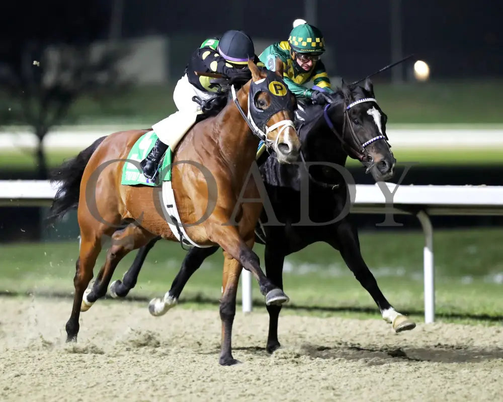 ZVEREV - The Boone County Stakes 1st Running - 12-06-25 - R07 - TP - Finish 02 - Coady Media - Kurtis Coady Photography