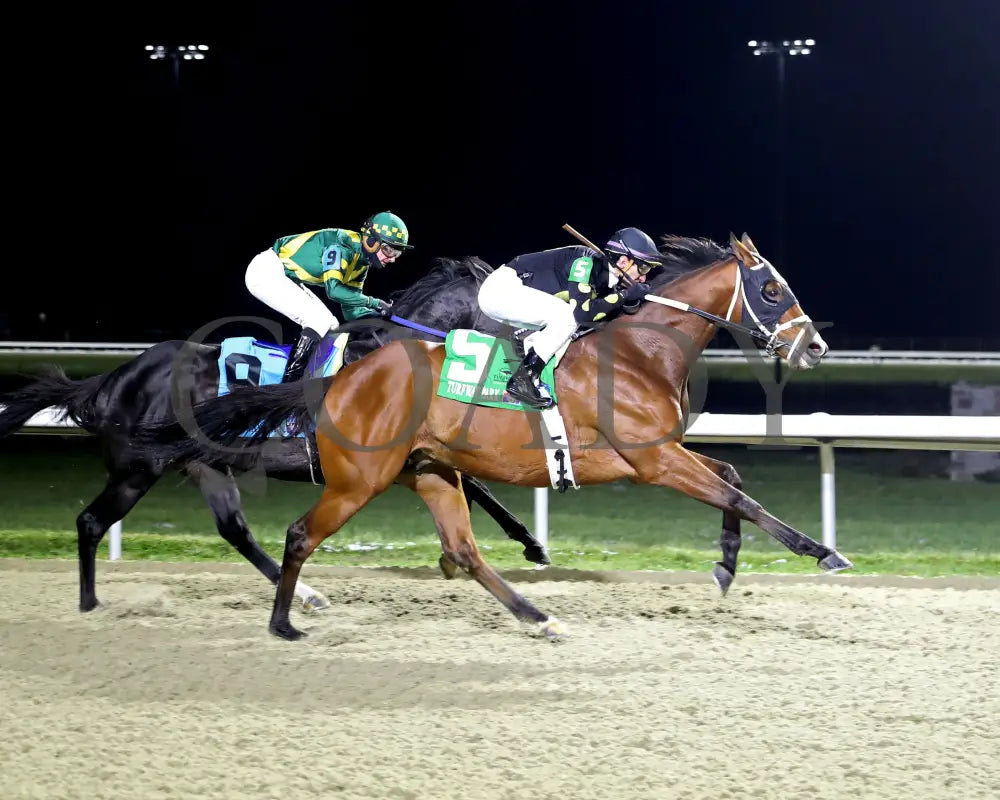 ZVEREV - The Boone County Stakes 1st Running - 12-06-25 - R07 - TP - Finish 03 - Coady Media - Kurtis Coady Photography