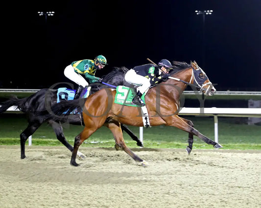 ZVEREV - The Boone County Stakes 1st Running - 12-06-25 - R07 - TP - Finish 03 - Coady Media - Kurtis Coady Photography