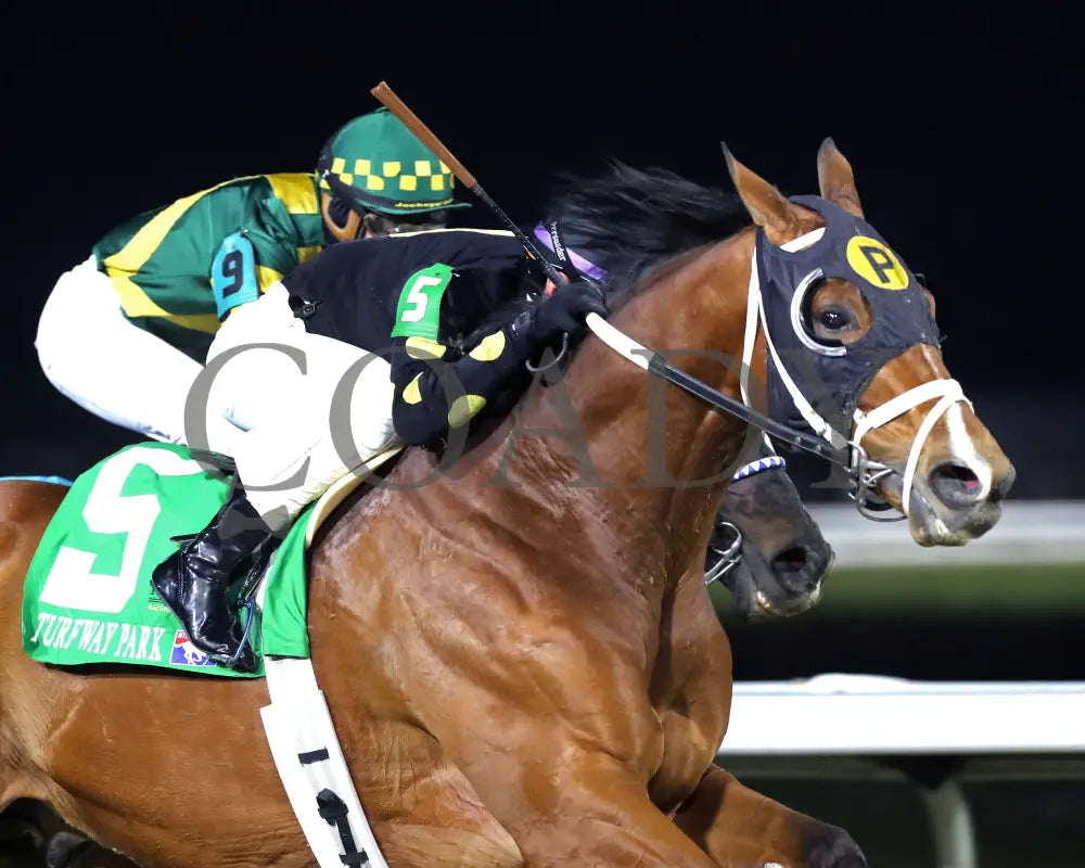 ZVEREV - The Boone County Stakes 1st Running - 12-06-25 - R07 - TP - Finish 05 - Coady Media - Kurtis Coady Photography